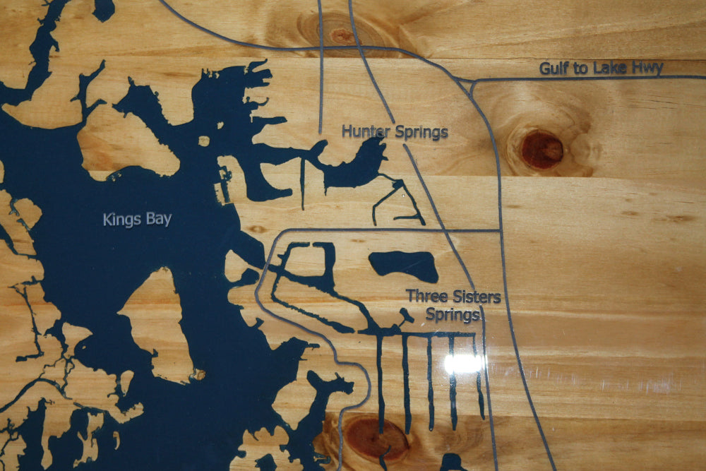 Map of Crystal River Florida