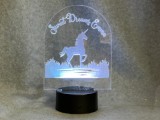Personalized Night Light